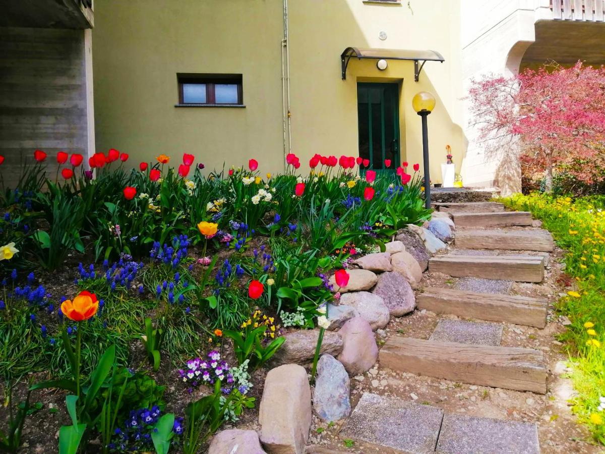 La Dimora Di Anna - Tra Le Vallate Alpine Apartment Ardesio